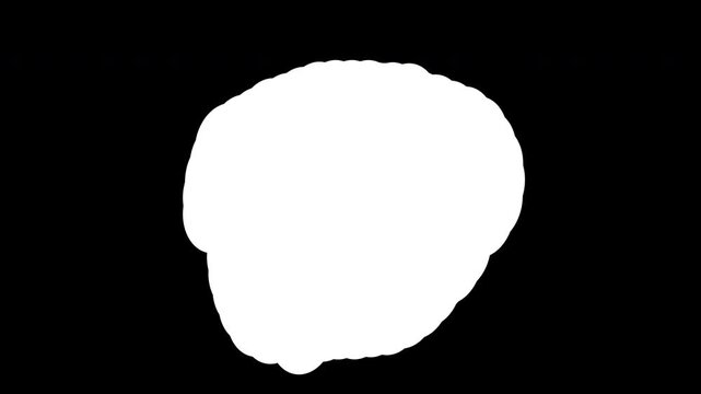 Circle Paint stroke black and white  splash Brush transition frame background. 