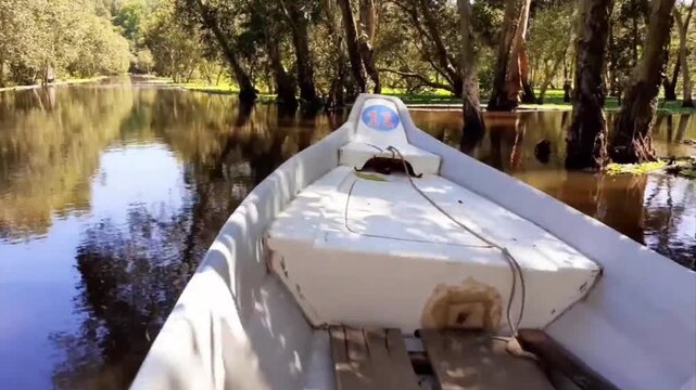 Boat Ride Through Tra Su Cajuput Forest, An Giang, Vietnam 2021