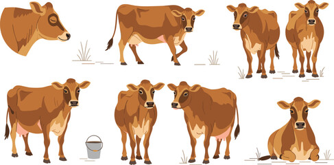 Fototapeta premium Brown Jersey Cow Character Set with Various Poses Including Walking Sitting and Head Profiles for Dairy Farm and Agriculture Designs