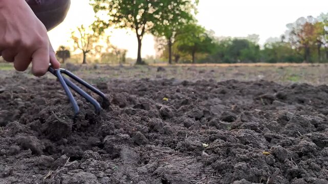 Gardener loosening soil with hand cultivator in garden