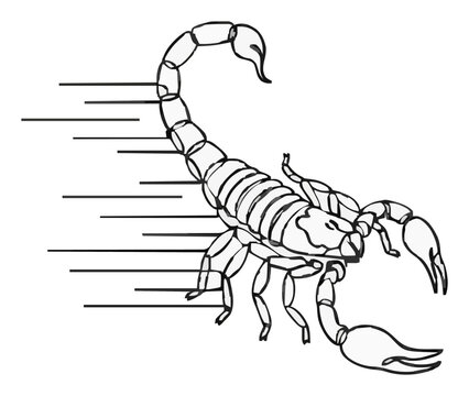 Flying scorpion macro close up line art. Generative AI