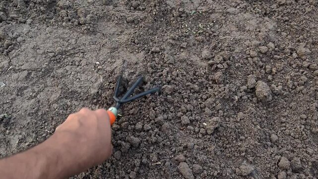 Gardener loosening soil with hand cultivator in garden
