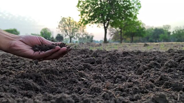 Hand of farmer checking soil health before growth a seed of vegetable or plant seedling. Agriculture concept.