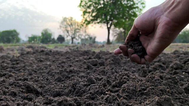 Hand of farmer checking soil health before growth a seed of vegetable or plant seedling. Agriculture concept.