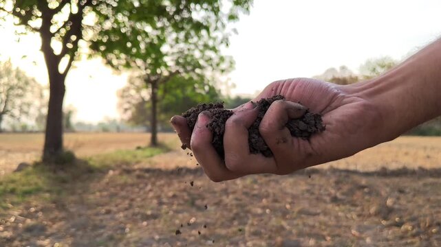 Hand of farmer checking soil health before growth a seed of vegetable or plant seedling. Agriculture concept.