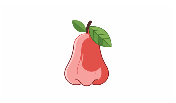 Cute pink wax apple tropical fruit vector illustration isolated on white background