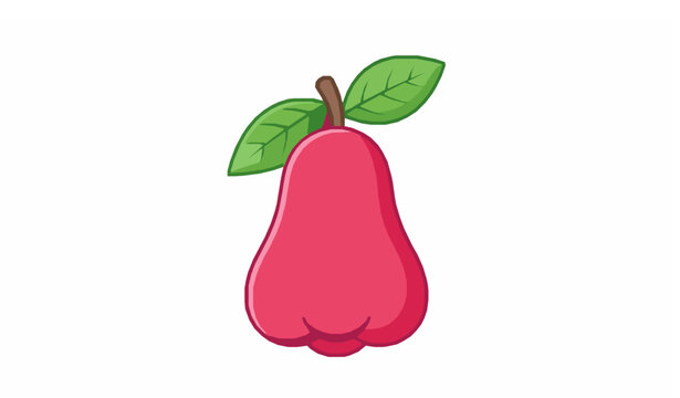 Pink wax apple vector icon tropical java apple fruit illustration isolated on white background
