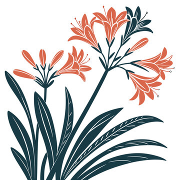clivia silhouette on white background