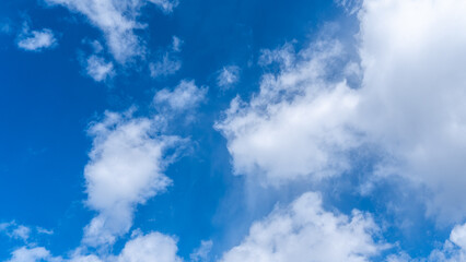 Obraz premium A bright, clear blue sky dotted with soft, fluffy white clouds, creating a calm cloudscape that evokes open air, good weather, and a peaceful, airy atmosphere overhead.