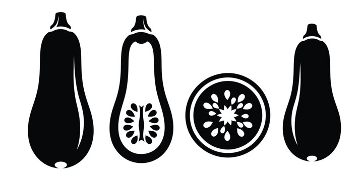 Butternut Squash and Slice Silhouette on White Background