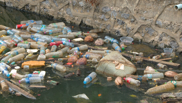 Plastic Bottles and Garbage Floating in a Polluted River in Phuket