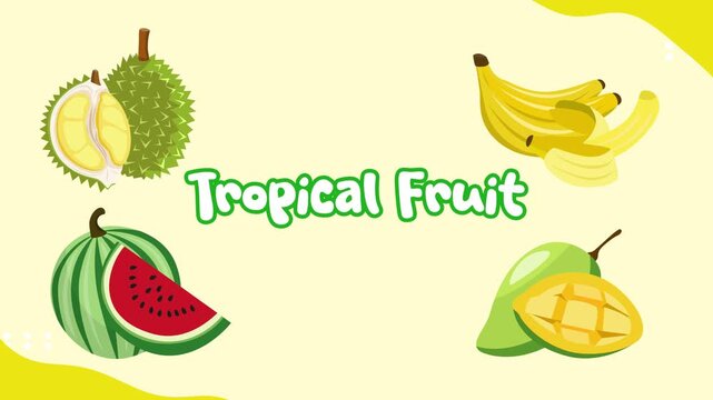 Exotic fruit collection for summer design. Tropical Fruit concept. Full length Icon animation illustration. High quality&nbsp;4k&nbsp;footage
