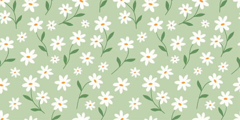 Seamless pattern of a daisy green field © cozy studio