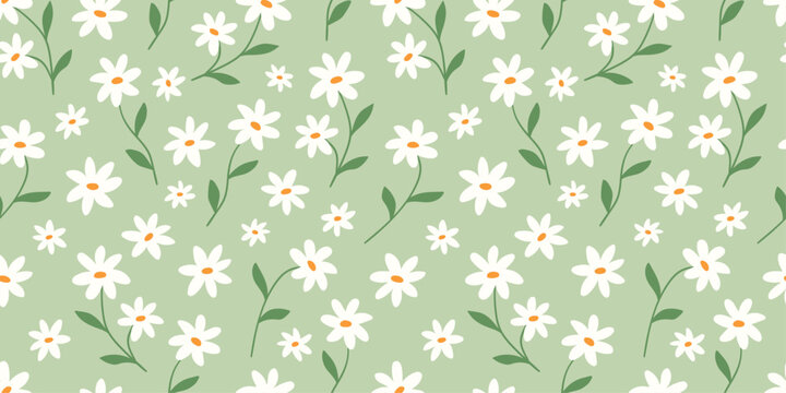Seamless pattern of a daisy green field