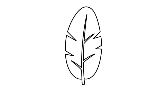 Minimalist Outline of a Feather on White Background