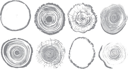 Hand drawn wood tree trunk rings vector collection Natural tree ring texture set with wood grain details © VECTOR HOUSE