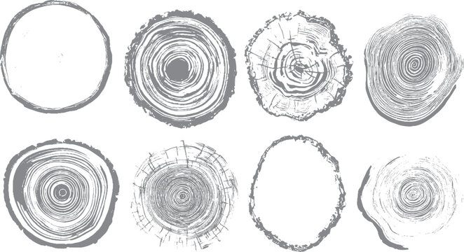 Hand drawn wood tree trunk rings vector collection Natural tree ring texture set with wood grain details