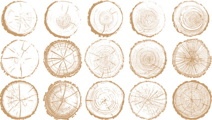 Hand drawn wood tree trunk rings vector collection Natural tree ring texture set with wood grain details © VECTOR HOUSE