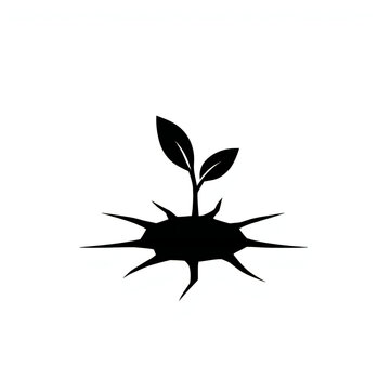 black and white beetle