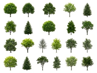 Fototapeta premium Collection of various types of trees isolated on transparent background for design use