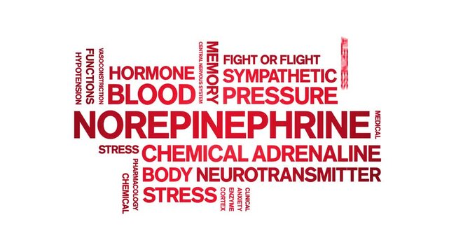 Norepinephrine animated word cloud-text design animation tag kinetic typography seamless loop.