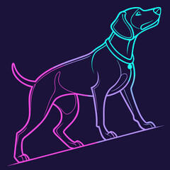 Fototapeta premium Pointer dog standing with collar neon outline.