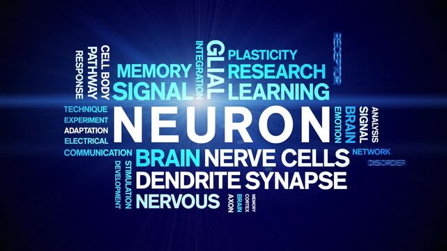 Neuron animated word cloud-text design animation tag kinetic typography seamless loop.