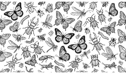 Hand drawn insect seamless pattern vector with butterflies and beetles doodles © MdMasud