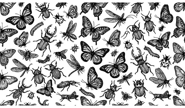 Insects doodle seamless pattern butterfly and beetle sketch vector illustration