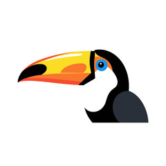 Fototapeta premium Colorful Toucan Bird Illustration