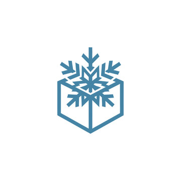 Cooling box icon with snowflake symbol, vector logo