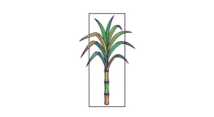 Fototapeta premium Sugarcane plant illustration, tropical agriculture, sweet crop, green leaves, yellow stalk