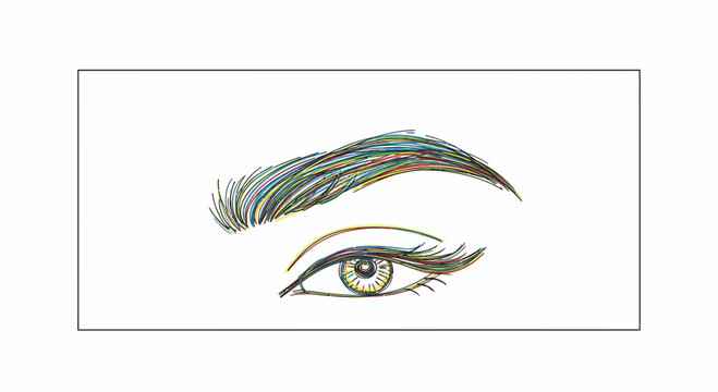 Close-up of a Woman's Beautifully Shaped Eyebrow and Eye with Eyelashes