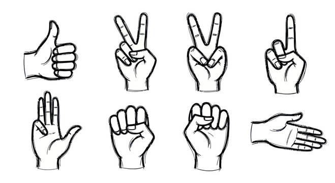 Hand Gestures Collection: Thumbs Up, Peace Sign, Rock Paper Scissors, Open Hand