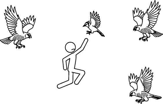 Person reacting to hawks and blue jay flying nearby