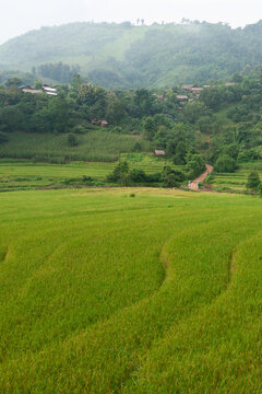 A view of rice terraces and tribal villages in the Kok River basin.