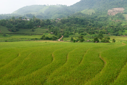 A view of rice terraces and tribal villages in the Kok River basin.