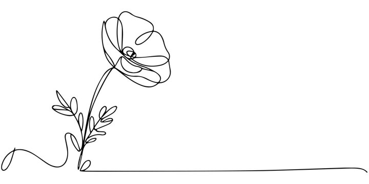 Continuous one line drawing of minimalist wild flowers poppy flower Poppies flower single outline vector illustration, poppy flower continuous one line drawing, A beautiful minimalist one line draw