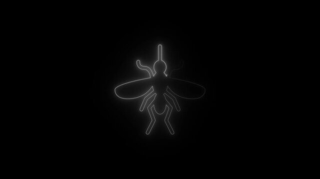 Glowing neon firefly animation on black background, futuristic style insect lighting effect