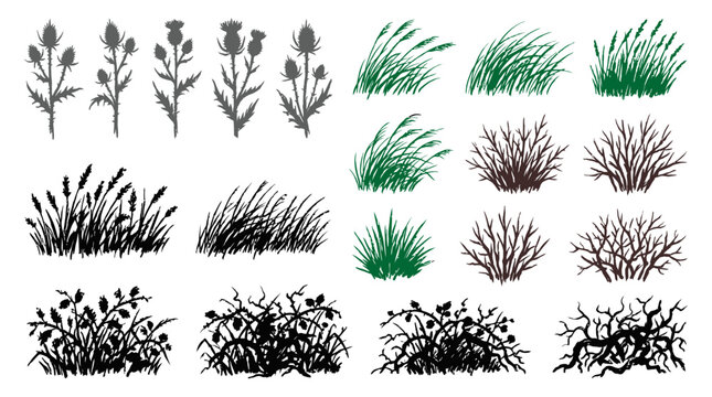 Diverse Plant Silhouette Collection A Vector Set of Grass, Thistles, Reeds, Bushes, and Bare Branches for Nature-Inspired Designs and Creative Projects