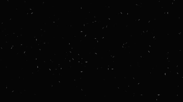 Motion graphic clip features abstract animated particles floating and swirling against a dark background, creating a dynamic, textured effect.