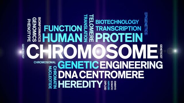 Chromosome animated word cloud-text design animation tag kinetic typography seamless loop.
