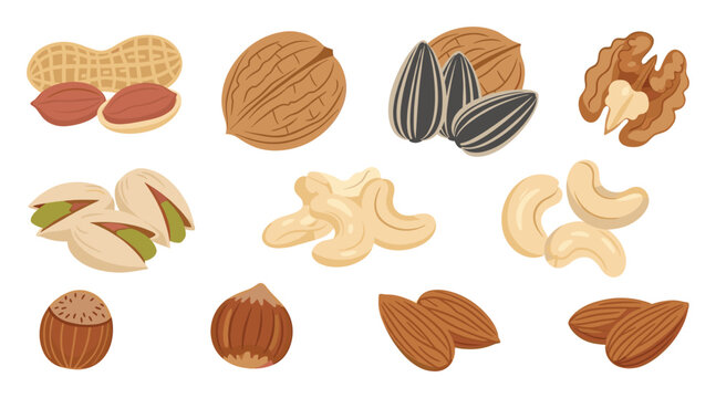 Delicious natural nuts and healthy seeds collection for nutritious snack recipes or food packaging
