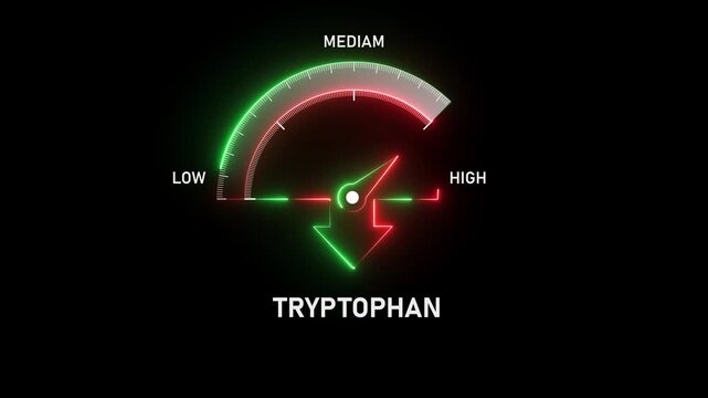 Abstract meter with scale reading high level of tryptophan amino acid. Motion graphics of tryptophan meter level concept