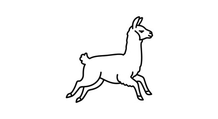 Fototapeta premium Adorable alpaca creature galloping and leaping in minimalist line art style, vector illustration of a woolly mammal in motion, simple flat icon design isolated on a clean white background.