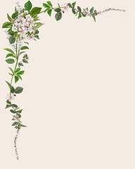 Fototapeta premium Elegant Open Botanical Corner Frame on Warm Ivory Background