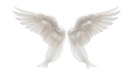 Fototapeta premium White angel wings soft feathers isolated on transparent background png