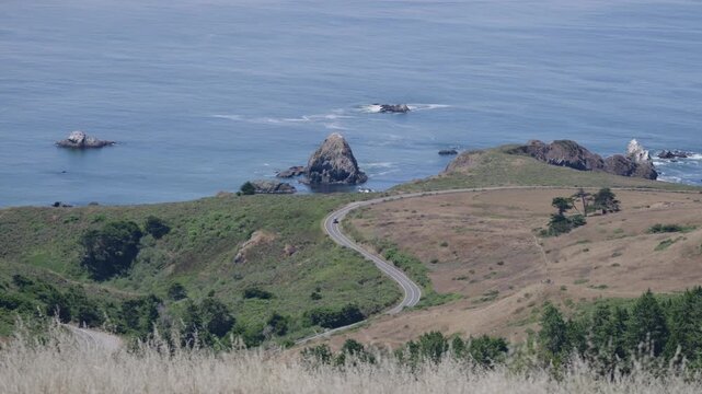 Vehicles navigating the winding curves of Highway 1