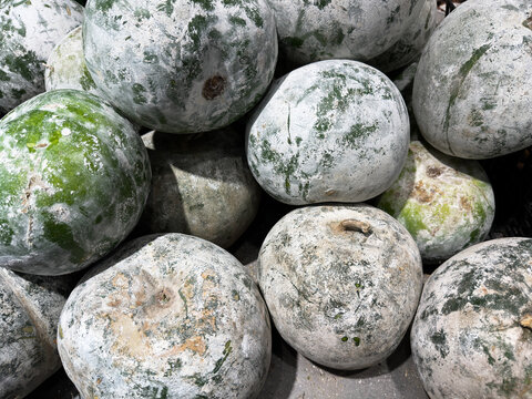 A rustic pile of mature winter melons featuring their characteristic waxy white coating and green skin. This textured close-up highlights natural agricultural produce, ideal for culinary and tradition