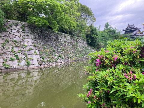 奈良大和郡山城のお堀